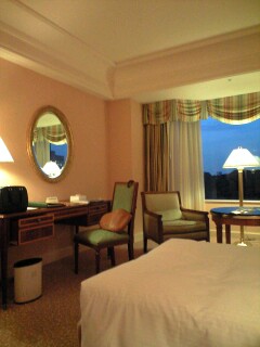 ���[�K���C����