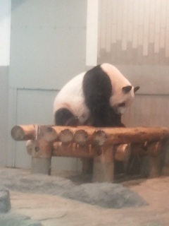 ���킢���|�[�Y