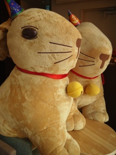 �a�J�̃����c