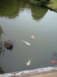 ���ΐ�A�����Q