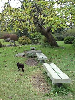 ���ΐ�A�����R